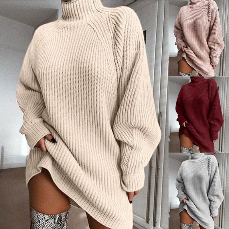 Cocoon Turtleneck Sweater Dress - back view